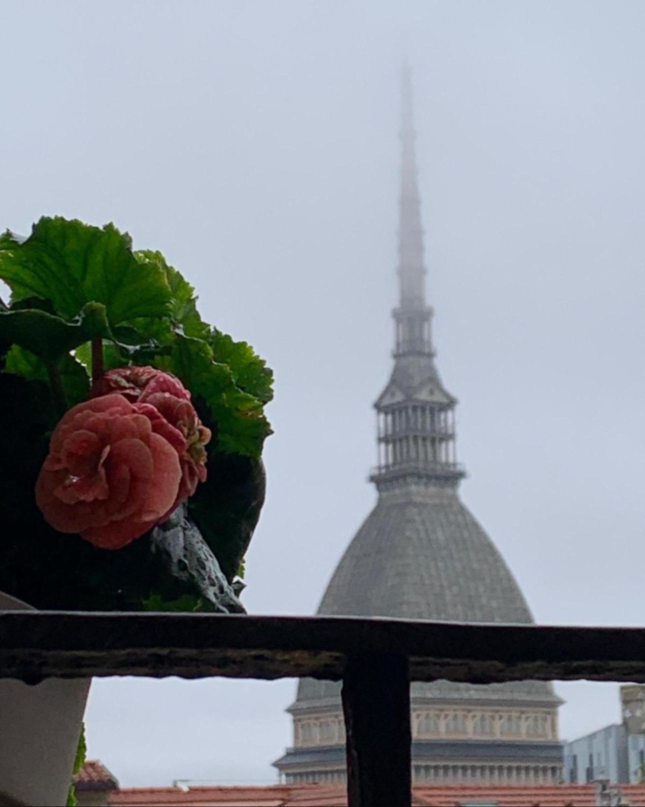 Le Finestre Sulla Mole Apartment Torino Exterior foto